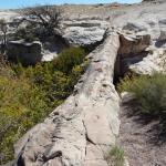 OTRA_2016_0432 (October 07, 2016)